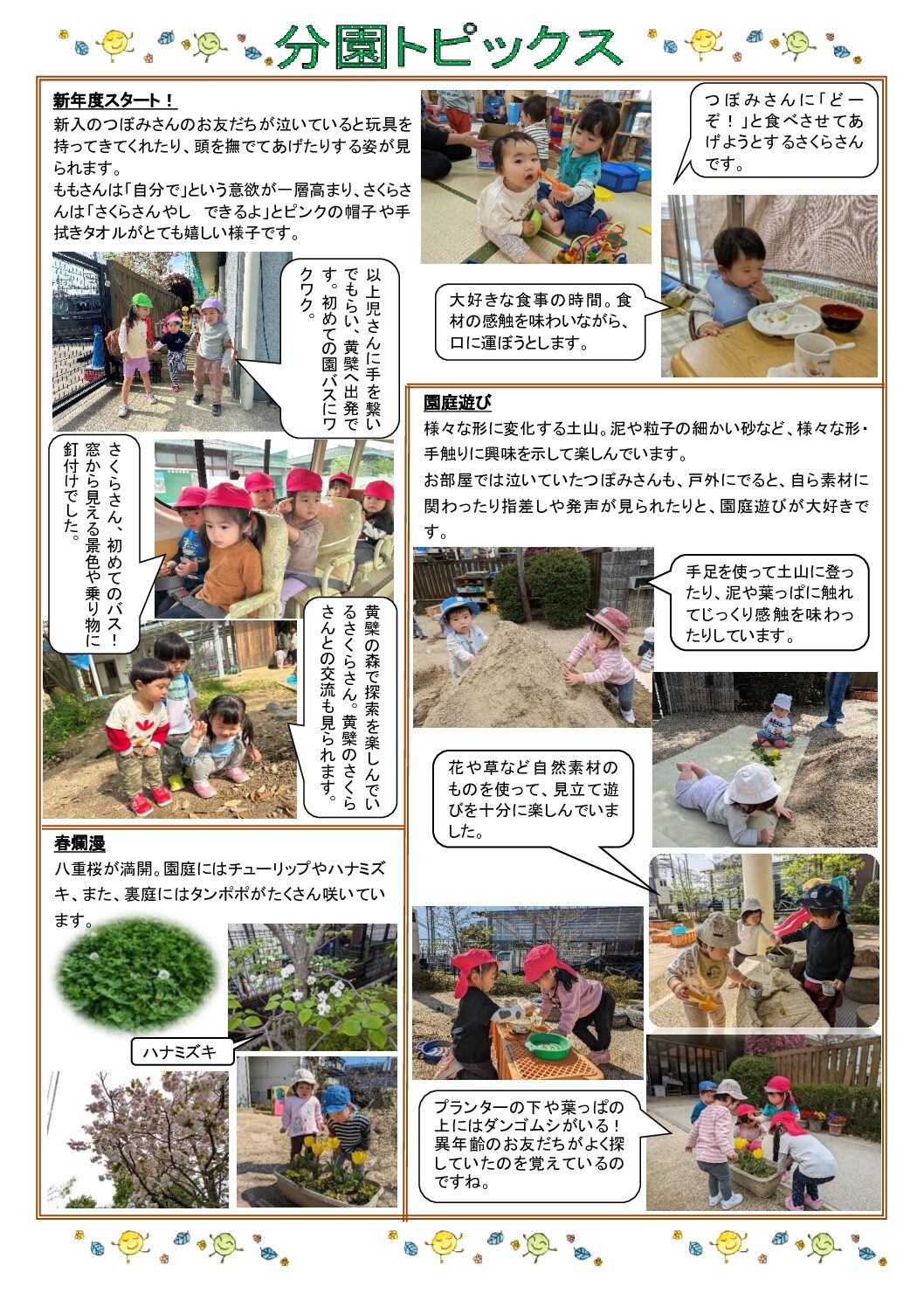 分園2024黄檗5月